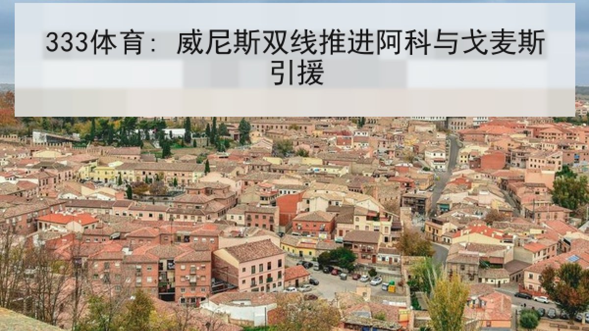 333体育: 威尼斯双线推进阿科与戈麦斯引援 333体育: 威尼斯双线推进阿科与戈麦斯引援